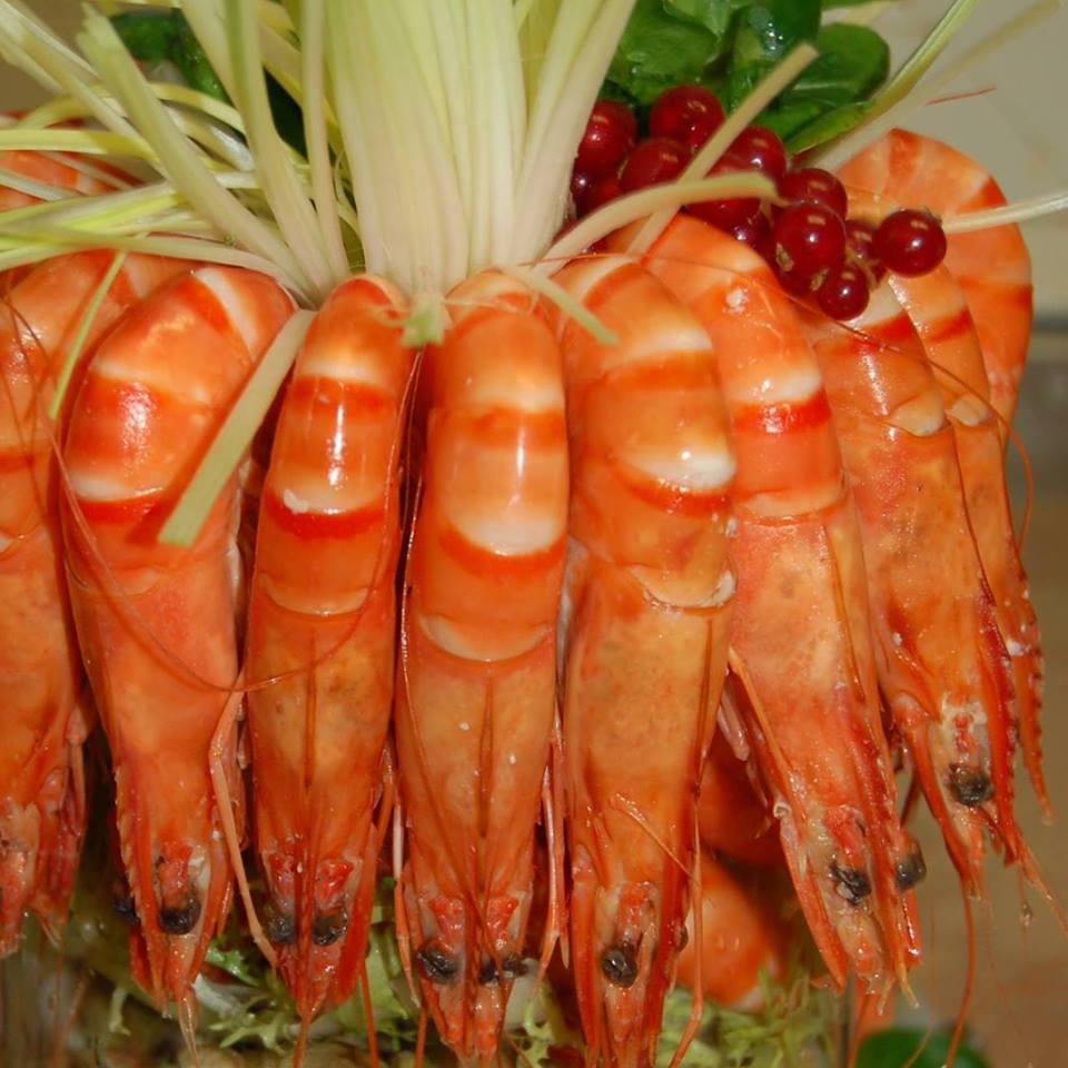 Un traiteurs Casher pour des délicieux plats à prix raisonnable.